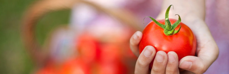 mediterraan-dieet-zoeken-kinderen