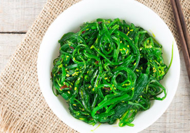 algues-source -iode-nuisible-zeewier-schadelijke-bron-jodium