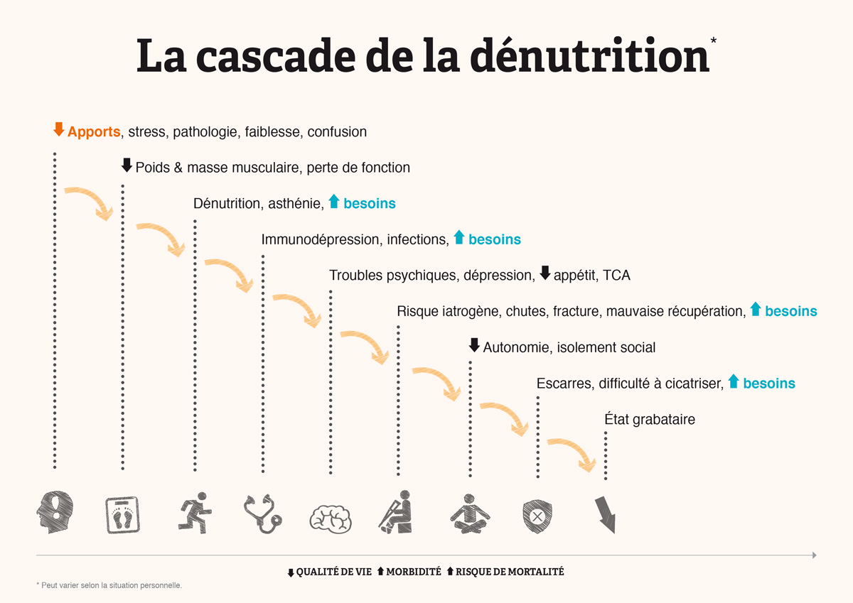 nutrigraphics-cascade-denutrition-4