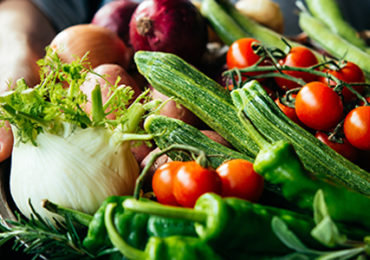 pesticides-bio-maladies-conventionnel