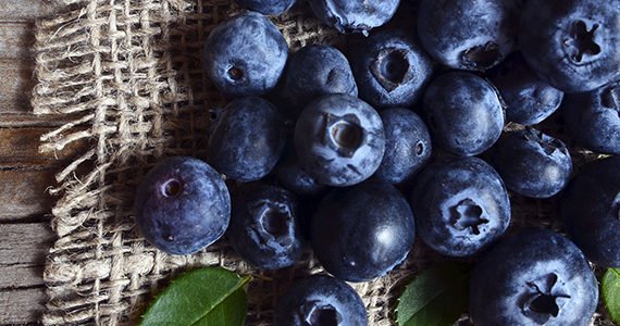 polyphenols-secours-memoire- seniors