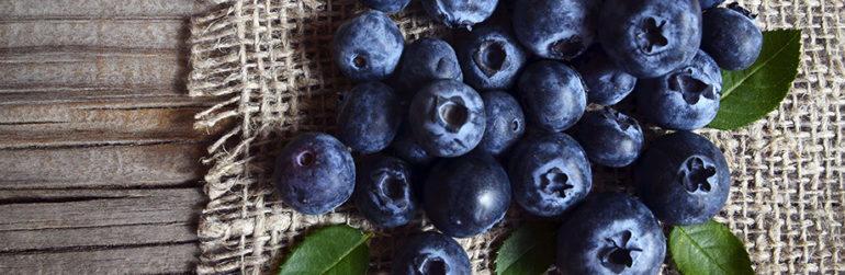 polyphenols-secours-memoire- seniors