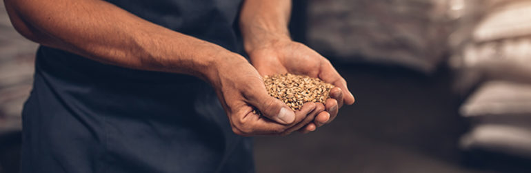 brasseur-orge-mains
