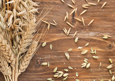 epi-graines-céréales-table-bois