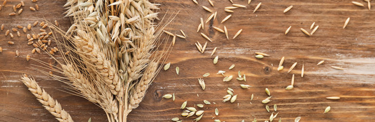 epi-graines-céréales-table-bois