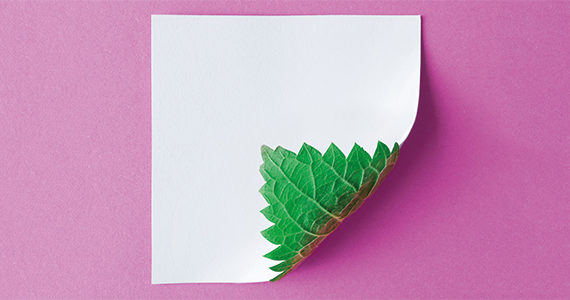 page-verte-fond-rose