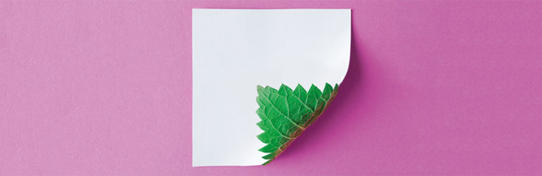 page-verte-fond-rose