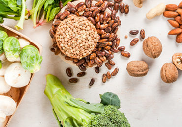 selection-produits-proteines-vegetales