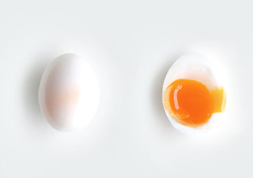 actualite-scientifique-cholesterol-oeufs