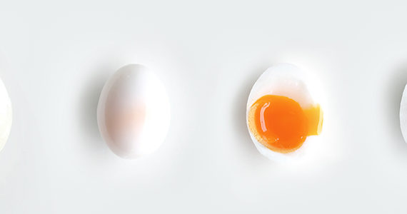 actualite-scientifique-cholesterol-oeufs