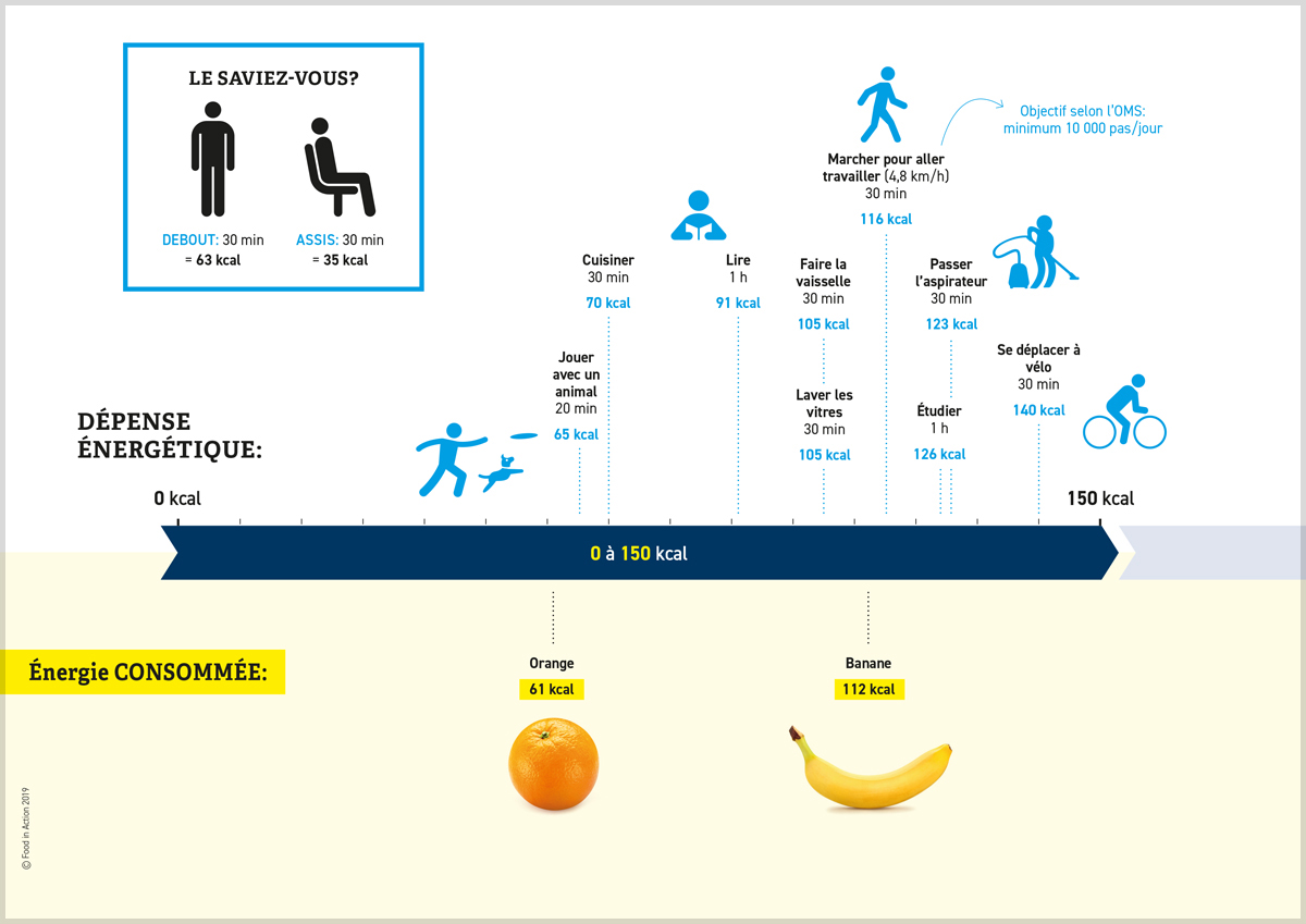 nutrigraphics-depenses-energetiques-2