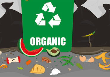 gaspillage alimentaire metabolique obesite cout ecologique environnement