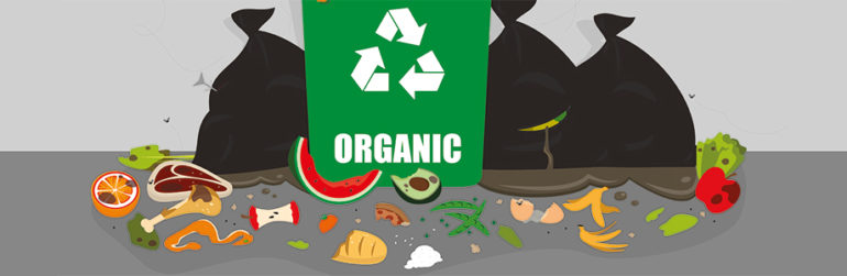 gaspillage alimentaire metabolique obesite cout ecologique environnement