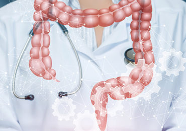intestins-medecin-difference-homme-femme