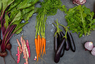 durable-durabilite-obesite-exces-poids-manger-durable