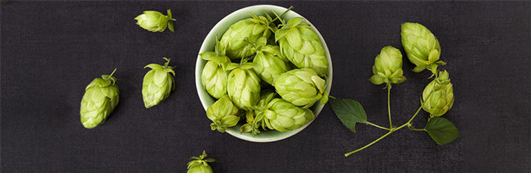 hop xanthohumol bier metabool syndroom obesitas flavonoïden