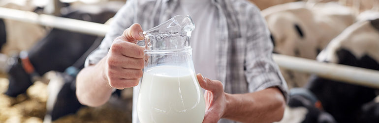 durabilité produits laitiers lait gaz à effet de serre alimentation durable, duurzaamheid zuivelproducten melk broeikaseffect duurzame voeding