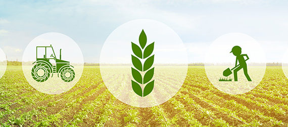 urine meststoffen resistentie antibiotica stikstofhoudende