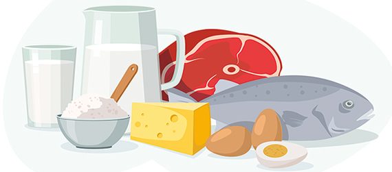 protéines seniors muscles personne âgées masse musculaire, eiwitten senioren spieren oudere mensen spiermassa