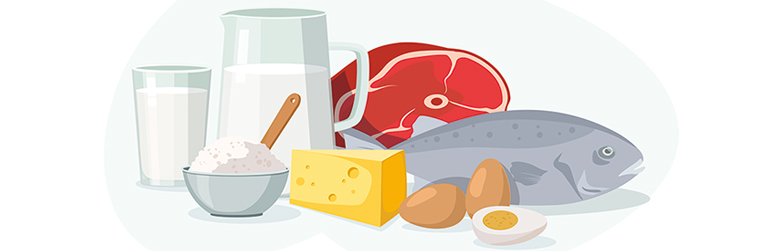 protéines seniors muscles personne âgées masse musculaire, eiwitten senioren spieren oudere mensen spiermassa