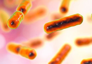 microbiote-nouvelle-bacterie-prometteuse-identifiee