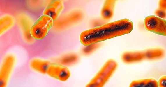 microbiote-nouvelle-bacterie-prometteuse-identifiee