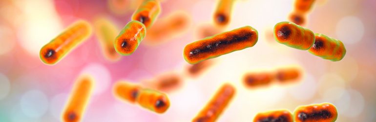 microbiote-nouvelle-bacterie-prometteuse-identifiee