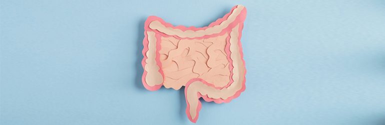 insuffisance-intestinale-malabsorption