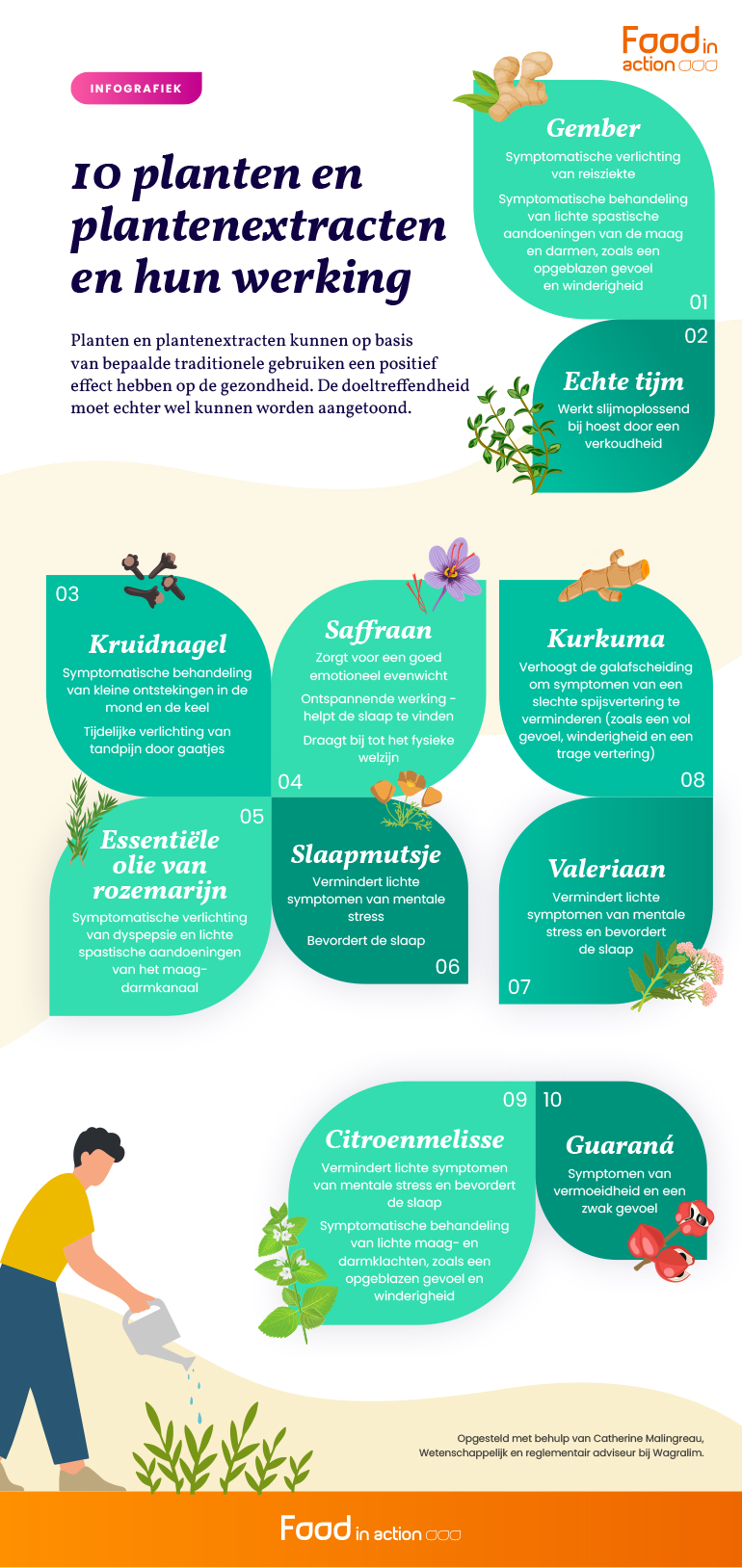 10-planten-plantenextracten-effecten