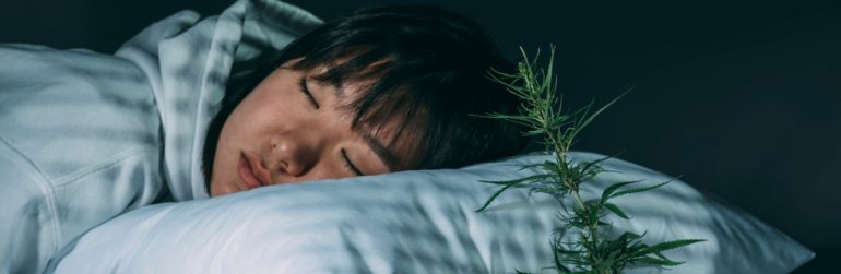 plantenextracten-werking-naargelang-tijdstip