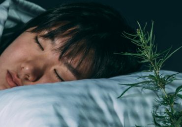 extraits-plantes-effets-selon-horaire