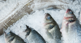 recommandations-alimentaires-nordiques-2023-SITE-HEADER