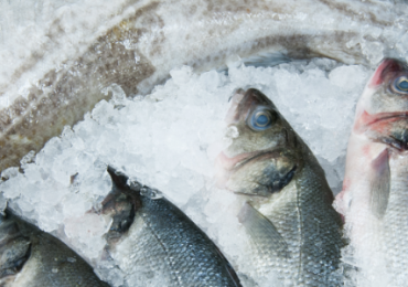 recommandations-alimentaires-nordiques-2023-SITE-HEADER