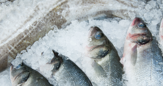 recommandations-alimentaires-nordiques-2023-SITE-HEADER