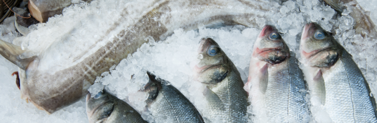 recommandations-alimentaires-nordiques-2023-SITE-HEADER