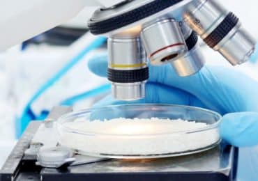 trop-arsenic-dans-assiettes-efsa-inquiete