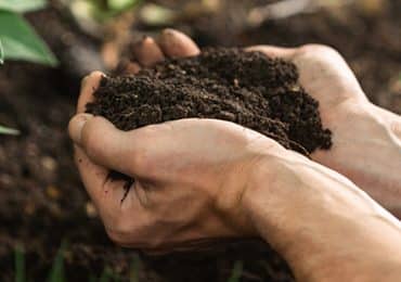 transition-alimentaire-faut-il-abandonner-produits-animaux