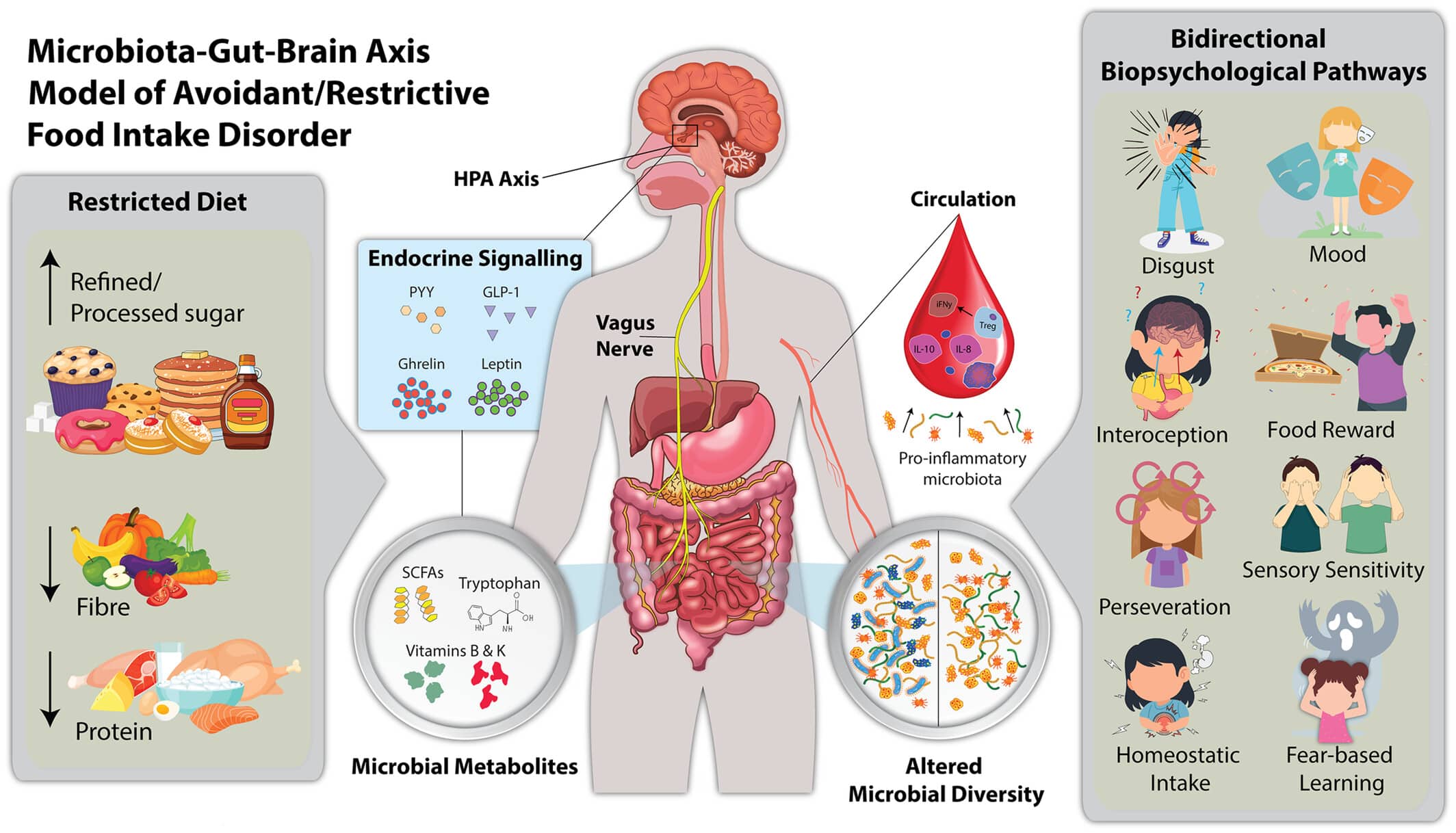 afrid-microbiote-trouble-comportement-alimentaire-schema
