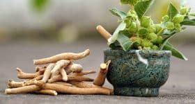 ashwagandha-antistress-naturel-controverse