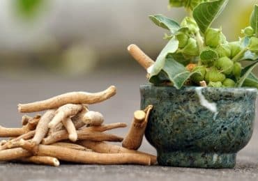 ashwagandha-antistress-naturel-controverse