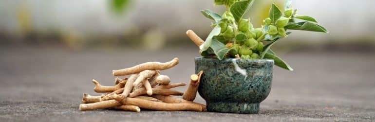 ashwagandha-antistress-naturel-controverse