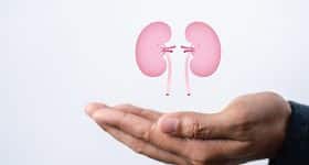 insuffisance-renale-chronique-grand-retour-vegetal