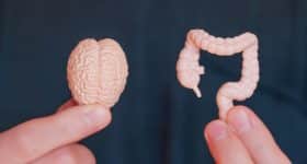 hersenen-kunnen-microbioom-in-2-uur-veranderen