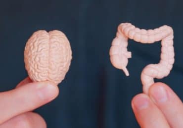 hersenen-kunnen-microbioom-in-2-uur-veranderen