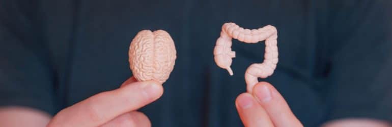 hersenen-kunnen-microbioom-in-2-uur-veranderen