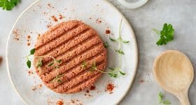 substitut-vegetaux-peuvent-porter-noms-viande