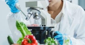 eurobarometre-2025-sante-devant-securite-alimentaire