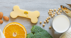 sante-osseuse-au-dela-calcium-et-vitamine-d