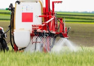 trop-cadmium-dans-alimentation-engrais-en-cause