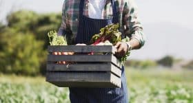 bio-chaque-geste-compte-pour-environnement-sante